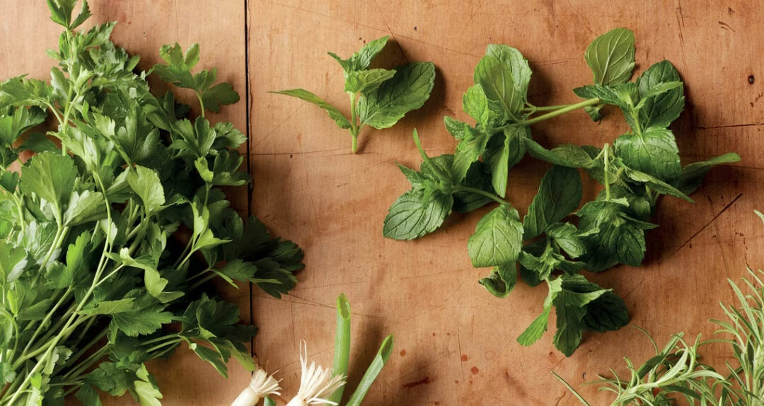 Expanding Your Herb Garden